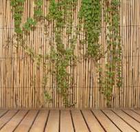 Backyard X-Scapes 6 ft. H x 16 ft. L Natural Jumbo Reed Bamboo Fencing  20-BR6 - The Home Depot