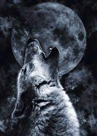 Wolf Moon Poster By Mateusz Slemp Displate Wolf And Moon Tattoo Wolf Spirit Animal Wolf Tattoos