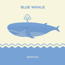 Maybe you would like to learn more about one of these? Blue Whale Illustration From Hoi S Upcoming Infographic Flickr