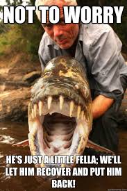 Pin By Connie Zecker On A Cornucopia Of Randomness River Monsters Jeremy Wade Tiger Fish