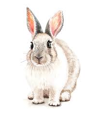 Dessin de lapin illustration de couleur de vecteur dessin danimal a main libre vecteurs libres de droits et plus d images vectorielles de art istock taal volcano newspaper article 2020 philippines. Patrones Ninos Archivos Pagina 7 De 12 Oh Mother Mine Diy Illustration De Lapin Dessin Lapin Dessin D Animal