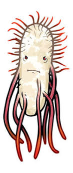 Salmonella bacteria typically live in animal and human intestines and are shed through feces. Salmonella Enterica Krobs