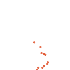 Image result for Eschenbachia gouanii