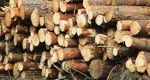 Pronunțată în ședința din 9 aprilie 2019. Legea ContravenÈ›iilor Silvice ModificatÄƒ SubstanÈ›ial Agro Business