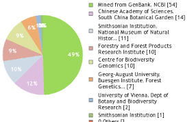 Image result for Lasianthus kilimandscharicus