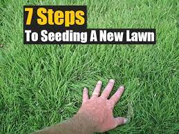 7 Steps To Seeding A New Lawn Shtfpreparedness Lawn And Garden Planting Grass Planting Grass Seed