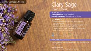 How to use clary sage oil. Doterra Clary Sage Essential Oil Uses Clary Sage Essential Oil Sage Essential Oil Uses Clary Sage Essential Oil Uses