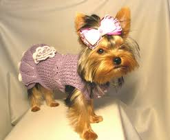 Knitted Dress For The Dog 100 Cotton The Color Is A Gentle Lilac