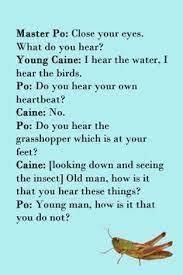 7 Kung Fu Ideas Kung Fu Grasshopper Quote Grasshopper