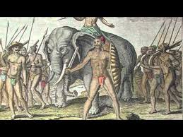 We did not find results for: Afonso De Albuquerque Alchetron The Free Social Encyclopedia