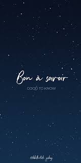 Pin By Jelena Cekrlic On Fr Eng Phrases Basic French Words French Expressions French Quotes
