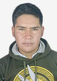 Ingresos de Otorongos Elecciones 2022