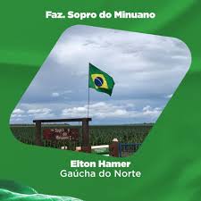 (o patriota) para o exercito italiano todos os traidores deveriam ser mortos, existia um espírito de amor à pátria muito grande. Aprosoja Ja Distribuiu Cerca De 3 Mil Bandeiras Do Brasil Em Mt Agr Noticias