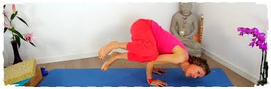 Ashtanga , in sanskrit, means eight limbs. Vinyasa Flow Yoga Ausbildung Mit Jane Be Your Dream