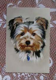 1 x border terrier miniature dog ornament. 4 X 6 Animaux Art Print Peints A La Main Peinture Numerique Yorkshire Terrier Portrait De Chien Yorkie Yorkshire Terrier Yorkie Terrier Patterdale Terrier