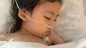 Fundraiser for Amy Clancy by Krysta Alves : Jasper's Recovery