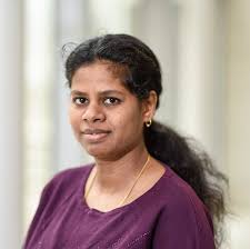 IDDD Fellows Program