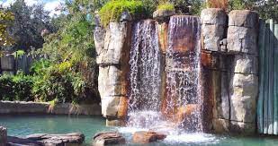 #26 of 96 fun & games in tampa. 25 Fun Things To Do In Tampa With Kids Of All Ages
