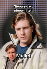 Mullet Haircut Filter
