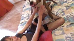 Dog Cumshots Videos - All Bestiality in one place