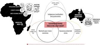 Changing fire regimes in East and Southern Africa's savanna-protected  areas: opportunities and challenges for indigenous-led savanna burning  emissions abatement schemes | Fire Ecology | Full Text