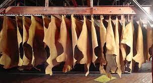 What Is Leather? The Rawhide From Animals| Eco World