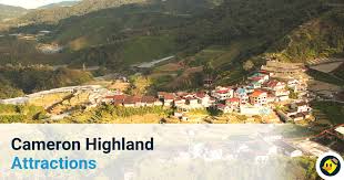 The farn smaller than tea house 1&2. Cameron Highlands Attractions C Letsgoholiday My