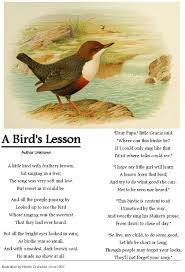 Bird Songs For Kids A Birds Lesson Author Unknown Illustration By Henrik Gronvold Circa 1907 Bird Poems Poems Rhymes For Kids