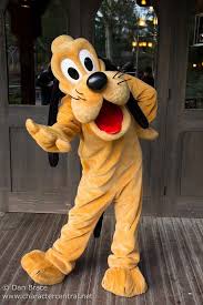 pin by levi kelley on disney characters pluto disney disney world characters disney theme parks