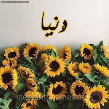 صور اسم بلسم 2020 بطقات لاسم بلسم روعة زخرفة باسم بلسم. ÙƒÙ„ Ø²Ø®Ø±ÙØ© ÙˆØ­Ø±ÙˆÙ Ø¯ Ù†ÙŠØ§ Ø²Ø®Ø±ÙØ© Ø£Ø³Ù…Ø§Ø¡ ÙƒÙˆÙ„