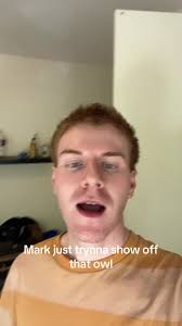 Mark Animal Experts Owl