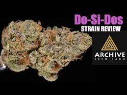Do Si Dos Strain Review Strains Sis Reviews