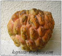 Maybe you would like to learn more about one of these? Nona Manis Kaytieze S Blog