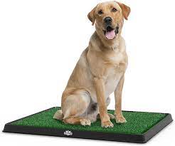 5 best dog potty stations and toilets for outdoor balconies. Amazon Com Artificial Grass Puppy Pad For Dogs And Small Pets Portable Training Pad With Tray Dog Housebreaking Supplies By Petmaker Pet Supplies