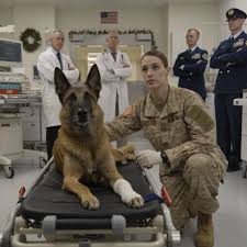 It's me.” The wounded K9 stopped fighting the moment the rookie SEAL spoke  the unit's secret code. The doors of the Coronado Naval Base Emergency  Veterinary Clinic slammed open at 2130 hours.