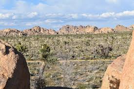 Maybe you would like to learn more about one of these? Rv Camping In Joshua Tree National Park Your Rv Lifestyle