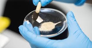 W USA odkryli niezwykły lek na raka. "Zatruwa" nowotwór tłuszczem