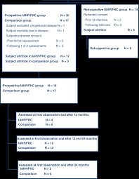 Flow Chart Of Subject Participation And Attrition