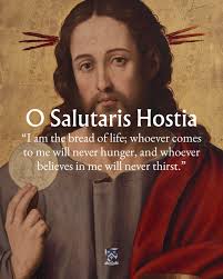 In the Lord's own words, charity and virtue open the way to having  confidence before God! Brothers and sisters, we can do this! Our confidence  can truly wax strong in the presence