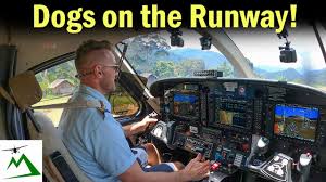 Decide what you want to fly. How I Became A Bush Pilot In Papua New Guinea Youtube