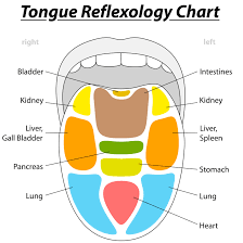 How To Use Reflexology Charts With Reflexology Tongue