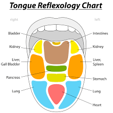 how to use reflexology charts with reflexology tongue