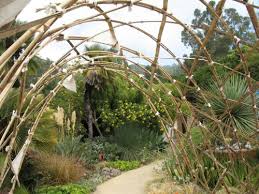 We have developed a world class collection of plants. U C Botanical Garden At Berkeley Alice S Garden Travel Buzz