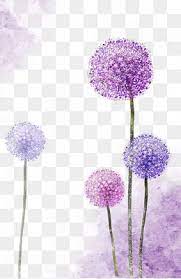 Purple Dandelion Dandelion Clipart Flower Png Transparent Clipart Image And Psd File For Free Download Flower Png Images Purple Watercolor Watercolor Flowers