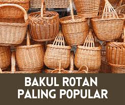 Maybe you would like to learn more about one of these? Bakul Rotan