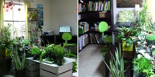 As a small indoor garden, the idea will be to mix plants. Home Gardening In Unusual Spaces