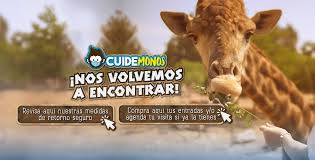 Encuentra los horarios y teléfonos de las tiendas buin zoo más cercanas a ti. Buinzoo Nos Volvemos A Encontrar