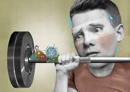 Your gym is teeming with invisible members: Germs. Here's how to avoid  them.