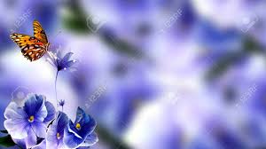Flower images flower wallpaper spring images hd images nature. Butterfly Flowers Stock Image Attractive Nature Image Of Blue Stock Photo Picture And Royalty Free Image Image 145242659