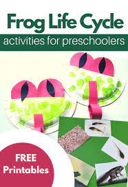 And most children do, too! Frog Life Cycle Activities For Preschoolers No Time For Flash Cards